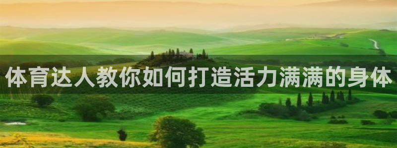 体育达人教你如何打造活力满满的身体