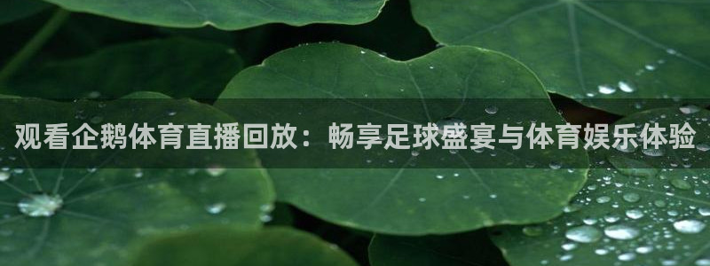 观看企鹅体育直播回放：畅享足球盛宴与体育娱乐体验