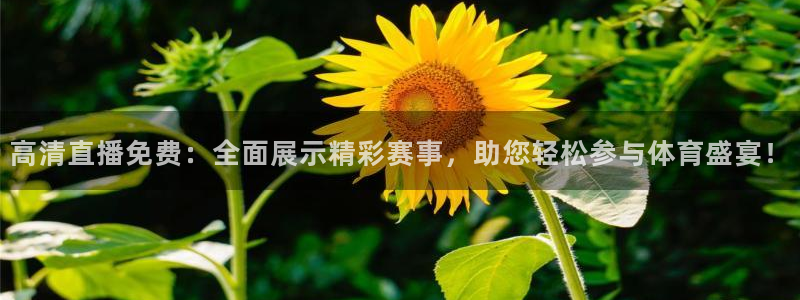 高清直播免费：全面展示精彩赛事，助您轻松参与体育盛宴！