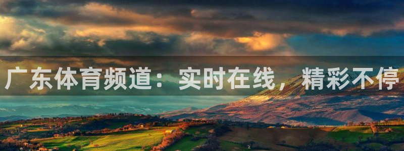 广东体育频道：实时在线，精彩不停