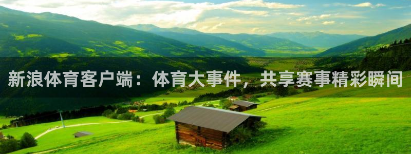 新浪体育客户端：体育大事件，共享赛事精彩瞬间