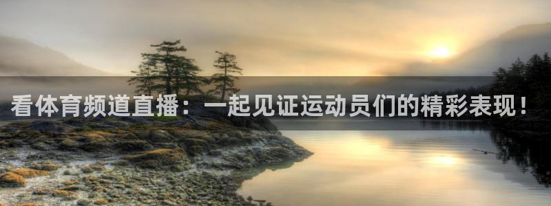 看体育频道直播：一起见证运动员们的精彩表现！