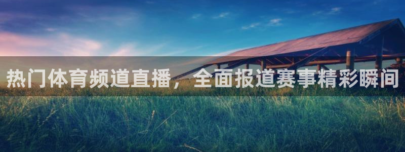 热门体育频道直播，全面报道赛事精彩瞬间