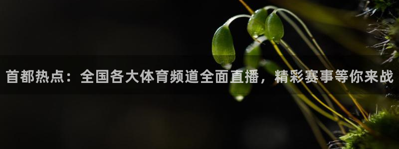 首都热点：全国各大体育频道全面直播，精彩赛事等你来战