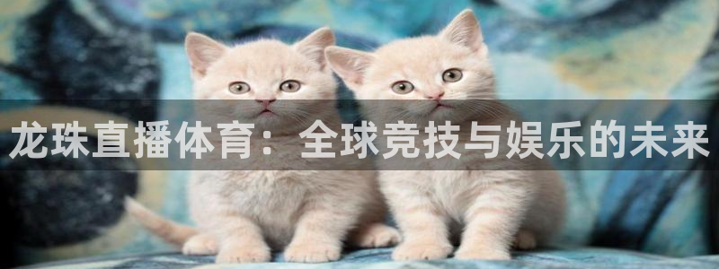 龙珠直播体育：全球竞技与娱乐的未来