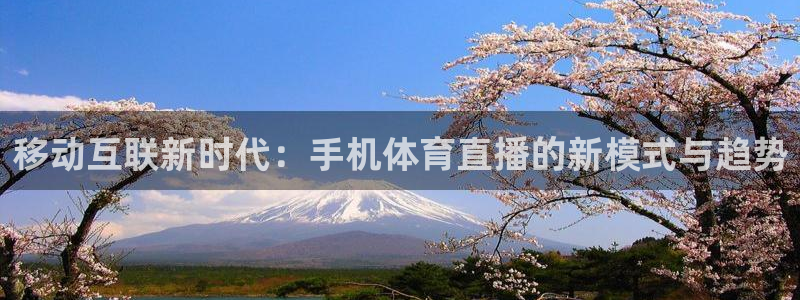 移动互联新时代：手机体育直播的新模式与趋势