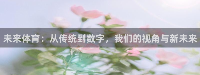 未来体育：从传统到数字，我们的视角与新未来