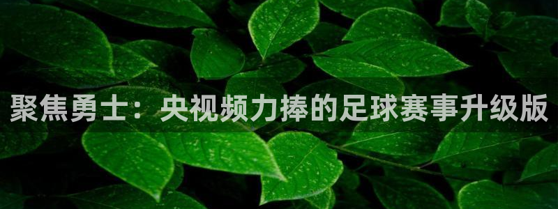 聚焦勇士：央视频力捧的足球赛事升级版