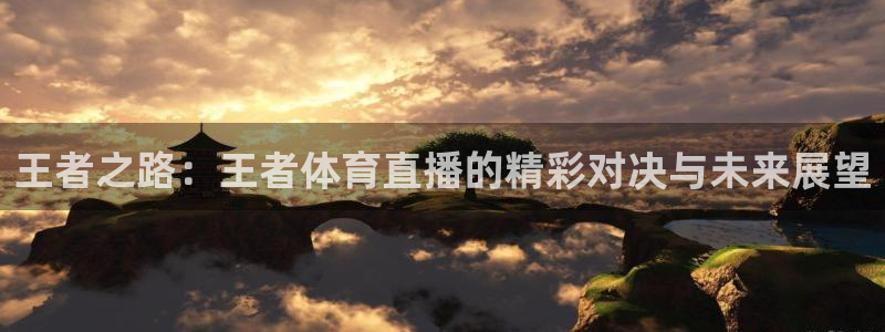 王者之路：王者体育直播的精彩对决与未来展望