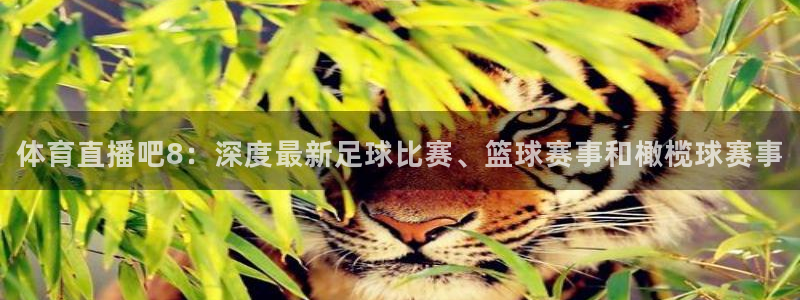 体育直播吧8：深度最新足球比赛、篮球赛事和橄榄球赛事