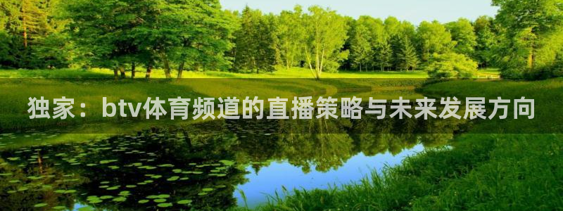 独家：btv体育频道的直播策略与未来发展方向
