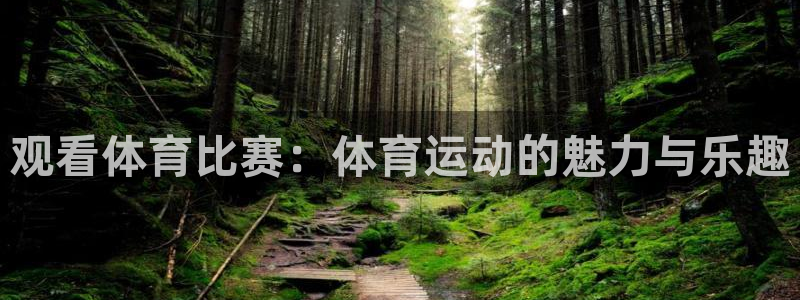 观看体育比赛：体育运动的魅力与乐趣