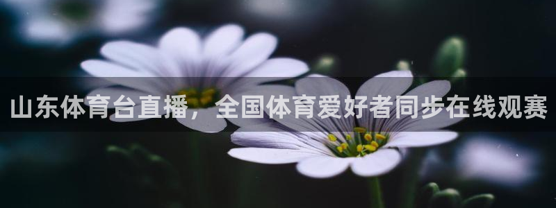 山东体育台直播，全国体育爱好者同步在线观赛