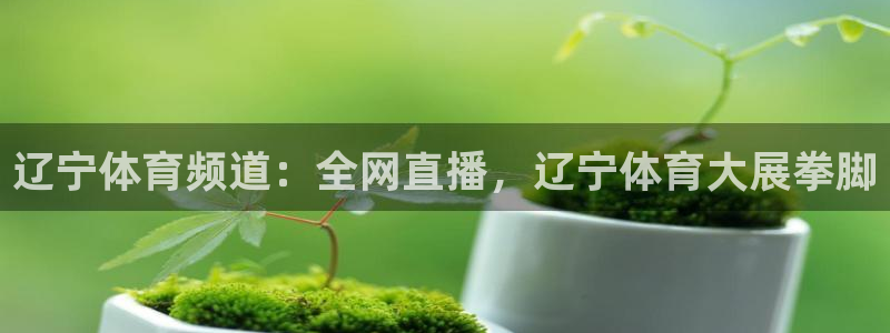 辽宁体育频道：全网直播，辽宁体育大展拳脚
