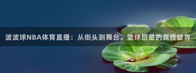 波波球NBA体育直播：从街头到舞台，篮球巨星的竞技世界