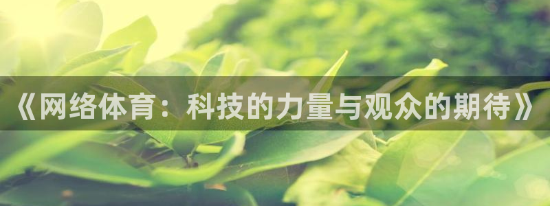 《网络体育：科技的力量与观众的期待》