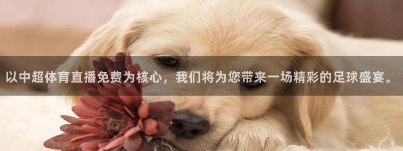 以中超体育直播免费为核心，我们将为您带来一场精彩的足球盛宴。