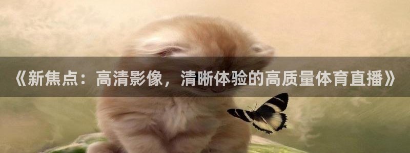 《新焦点：高清影像，清晰体验的高质量体育直播》