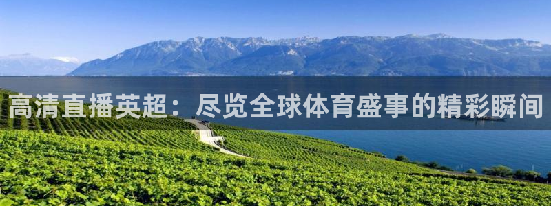 高清直播英超：尽览全球体育盛事的精彩瞬间