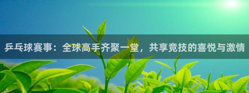 乒乓球赛事：全球高手齐聚一堂，共享竞技的喜悦与激情