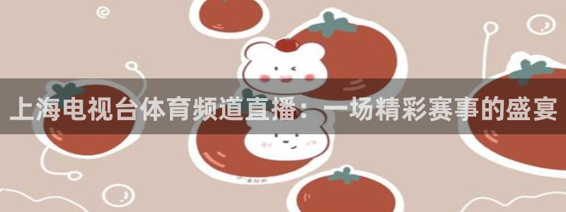 上海电视台体育频道直播：一场精彩赛事的盛宴