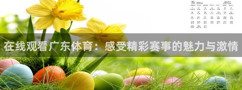 在线观看广东体育：感受精彩赛事的魅力与激情