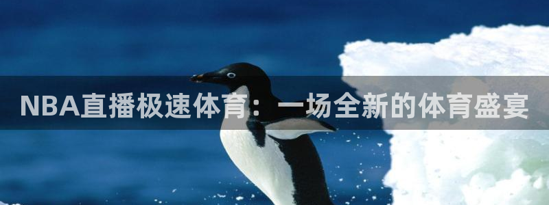 NBA直播极速体育：一场全新的体育盛宴