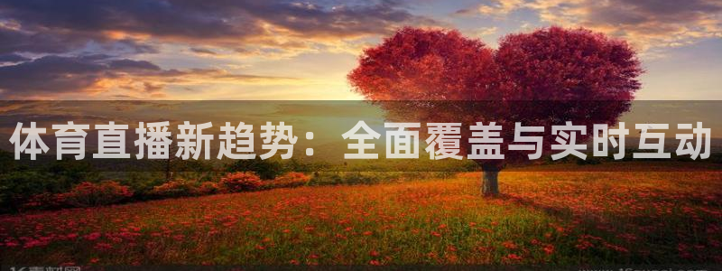 体育直播新趋势：全面覆盖与实时互动