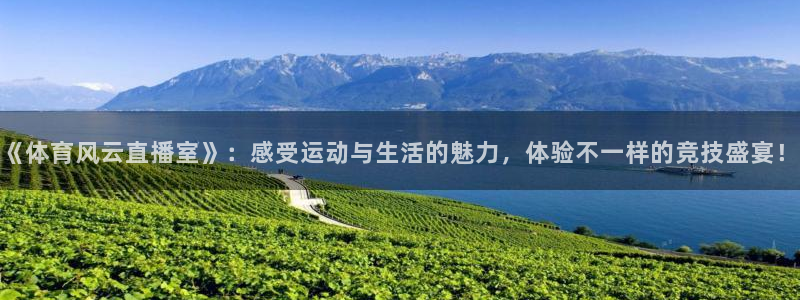 《体育风云直播室》：感受运动与生活的魅力，体验不一样的竞技盛宴！