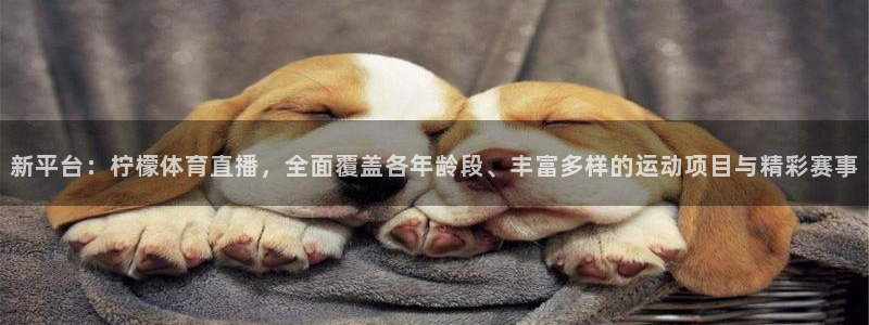 新平台：柠檬体育直播，全面覆盖各年龄段、丰富多样的运动项目与精彩赛事