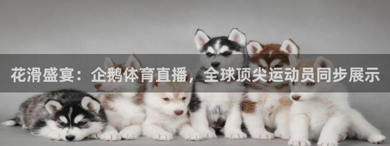 花滑盛宴：企鹅体育直播，全球顶尖运动员同步展示