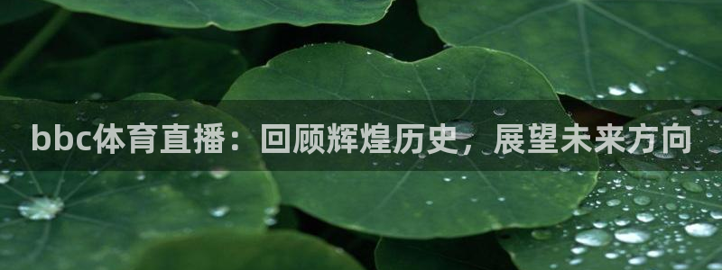 bbc体育直播：回顾辉煌历史，展望未来方向