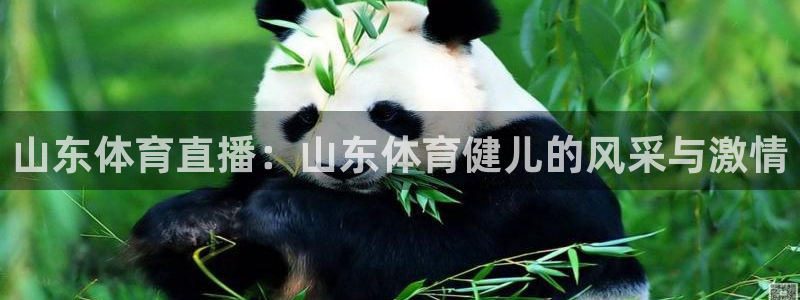 山东体育直播：山东体育健儿的风采与激情