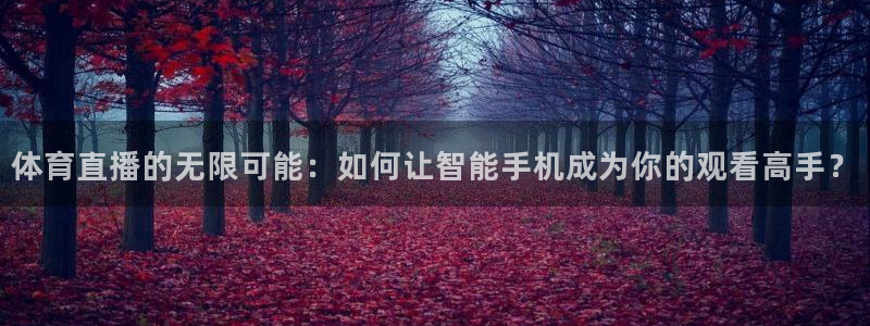 体育直播的无限可能：如何让智能手机成为你的观看高手？