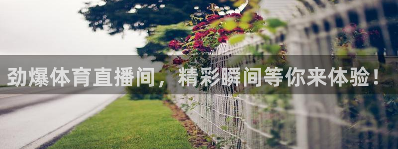 劲爆体育直播间，精彩瞬间等你来体验！