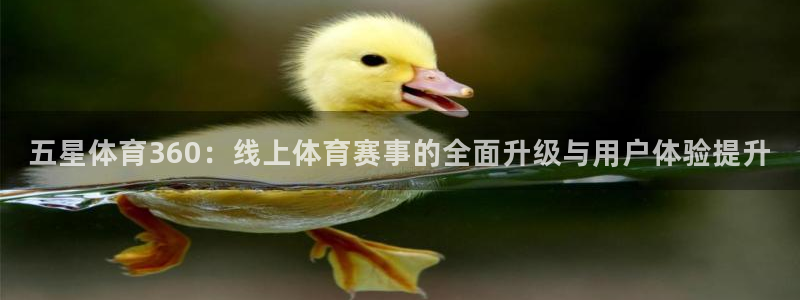 五星体育360：线上体育赛事的全面升级与用户体验提升