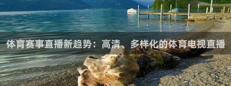体育赛事直播新趋势：高清、多样化的体育电视直播