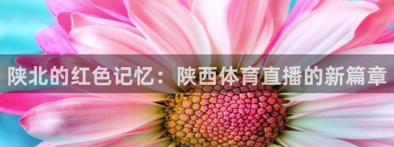 陕北的红色记忆：陕西体育直播的新篇章