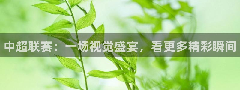 中超联赛：一场视觉盛宴，看更多精彩瞬间