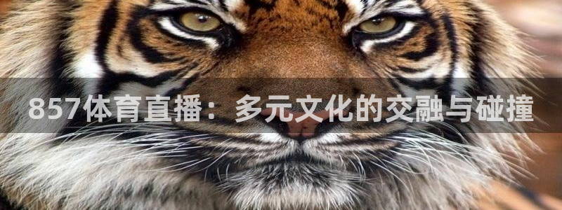 857体育直播：多元文化的交融与碰撞